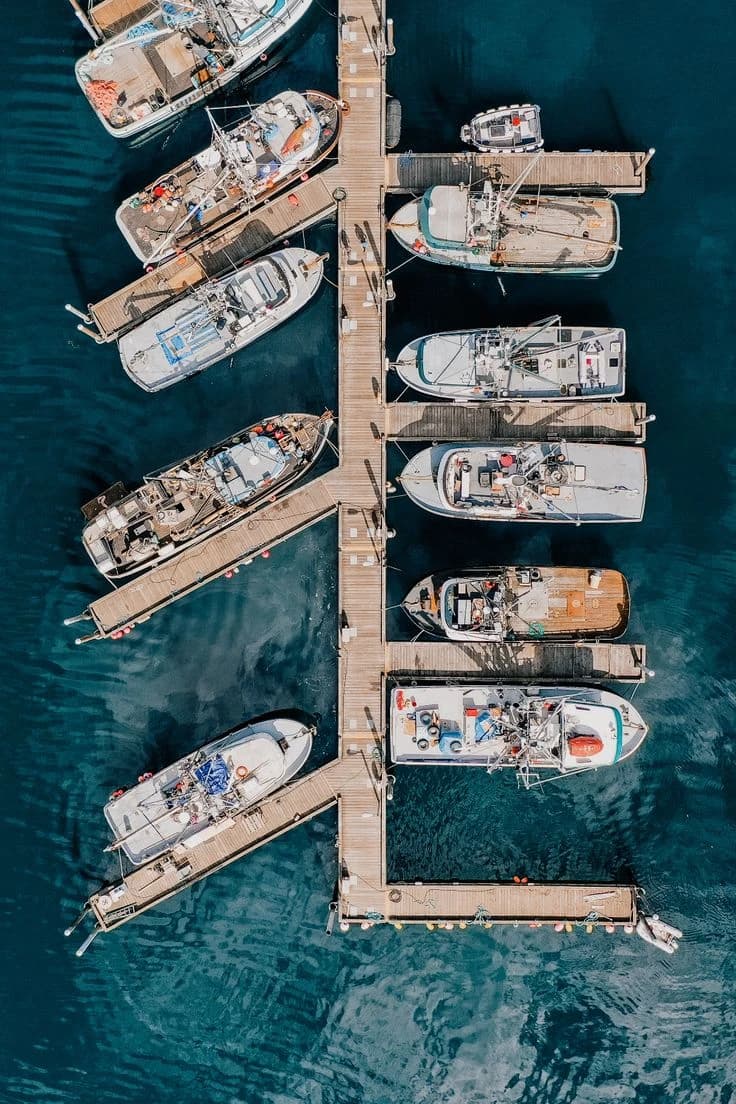 إدارة وتشغيل المراسي والنوادي البحرية